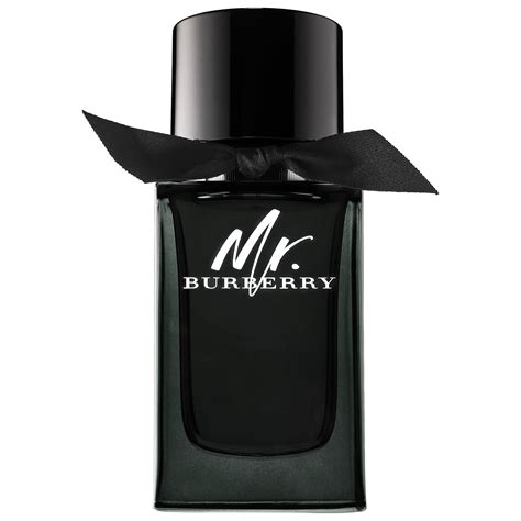 mr burberry duft|mr burberry sephora.